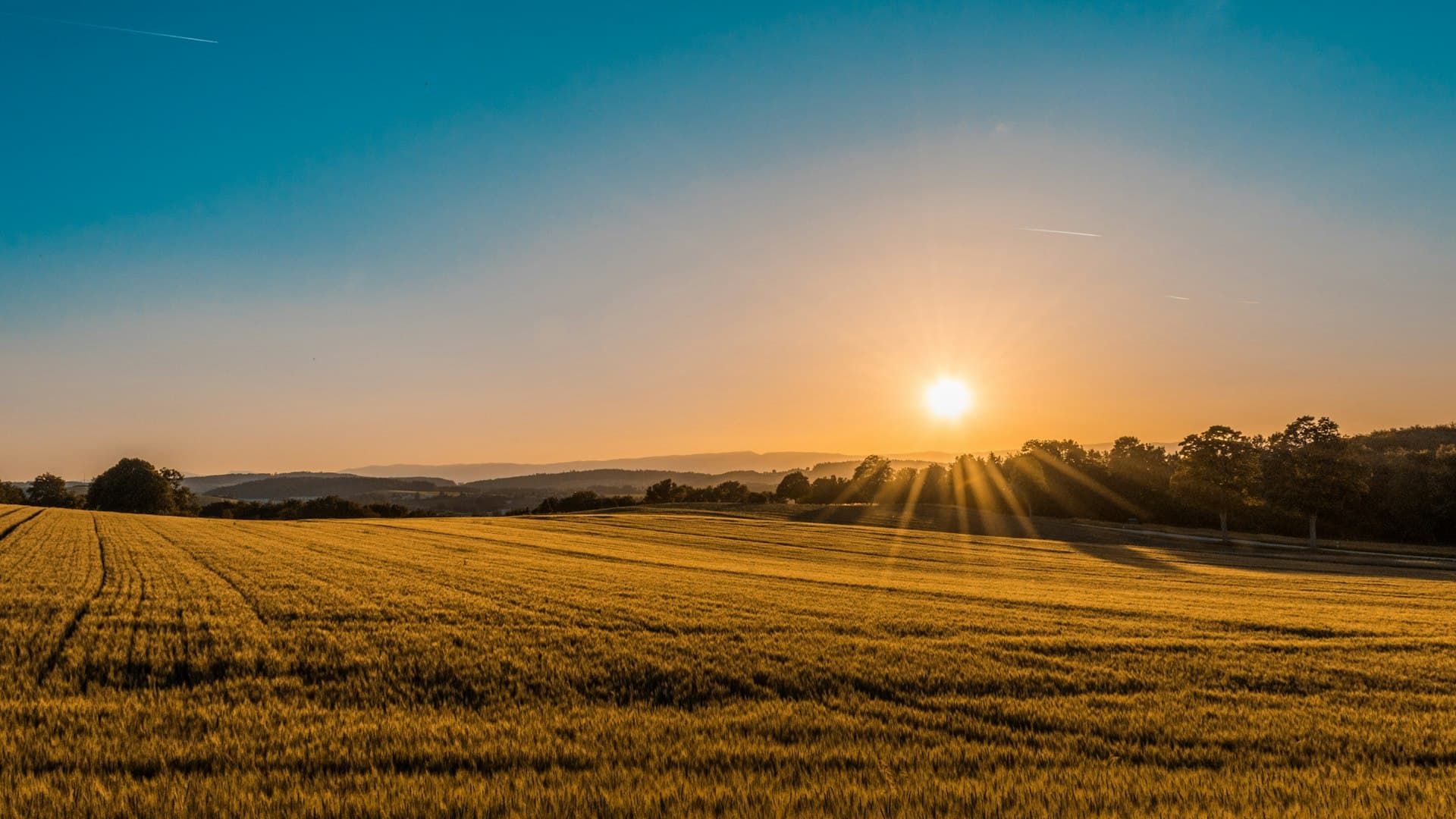 Aerial view of farmland at golden hour